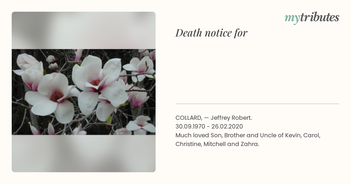 notice opengraph image