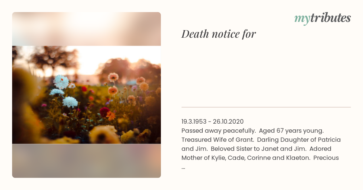 notice opengraph image