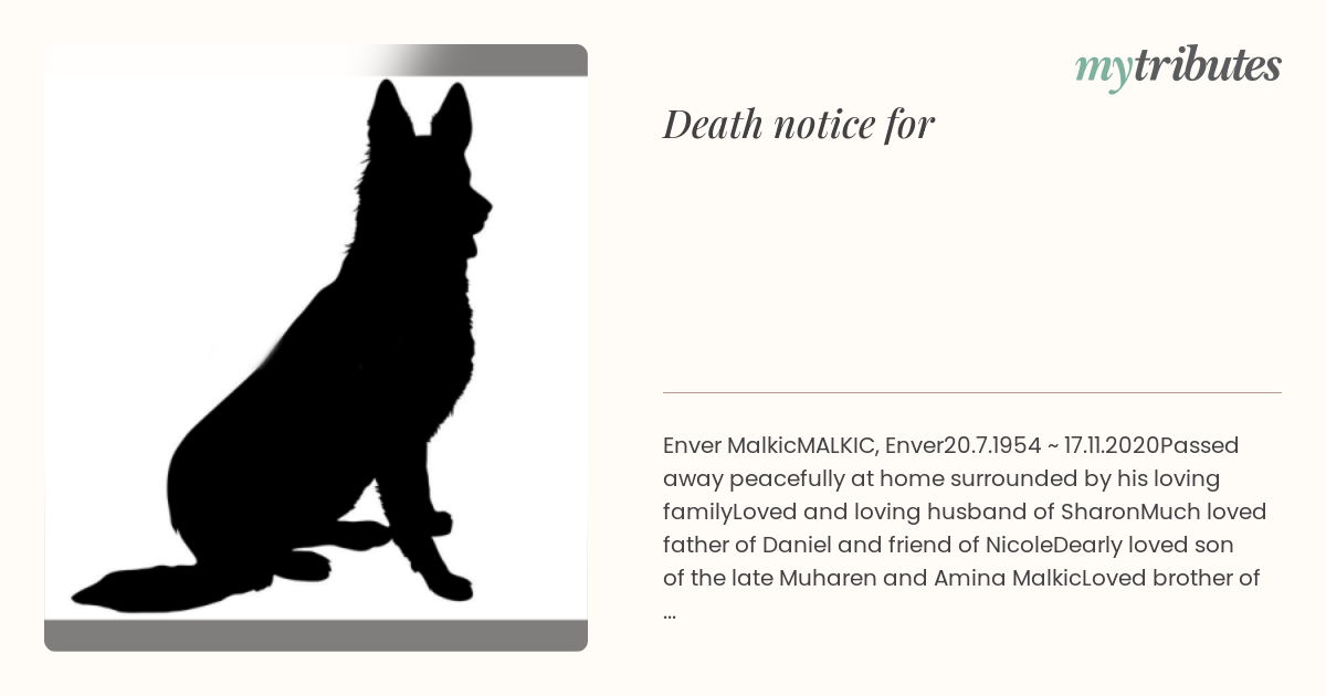 notice opengraph image