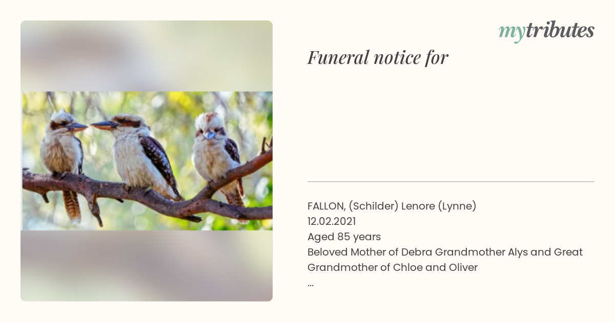 notice opengraph image