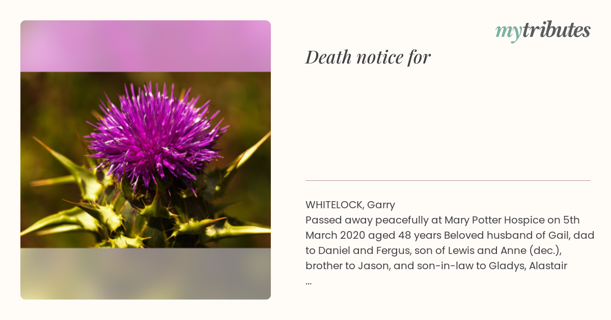 notice opengraph image