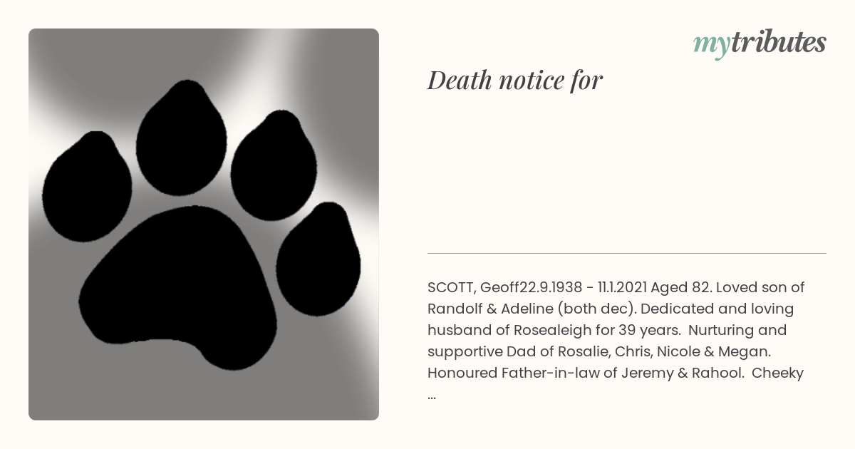 notice opengraph image