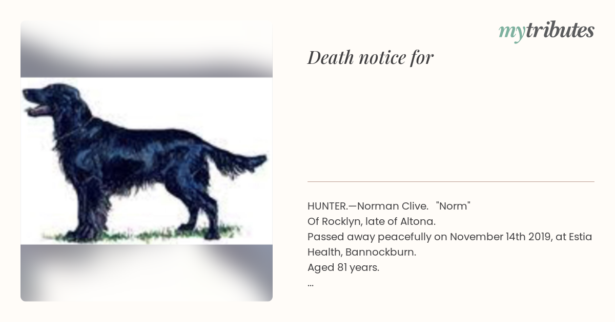 notice opengraph image