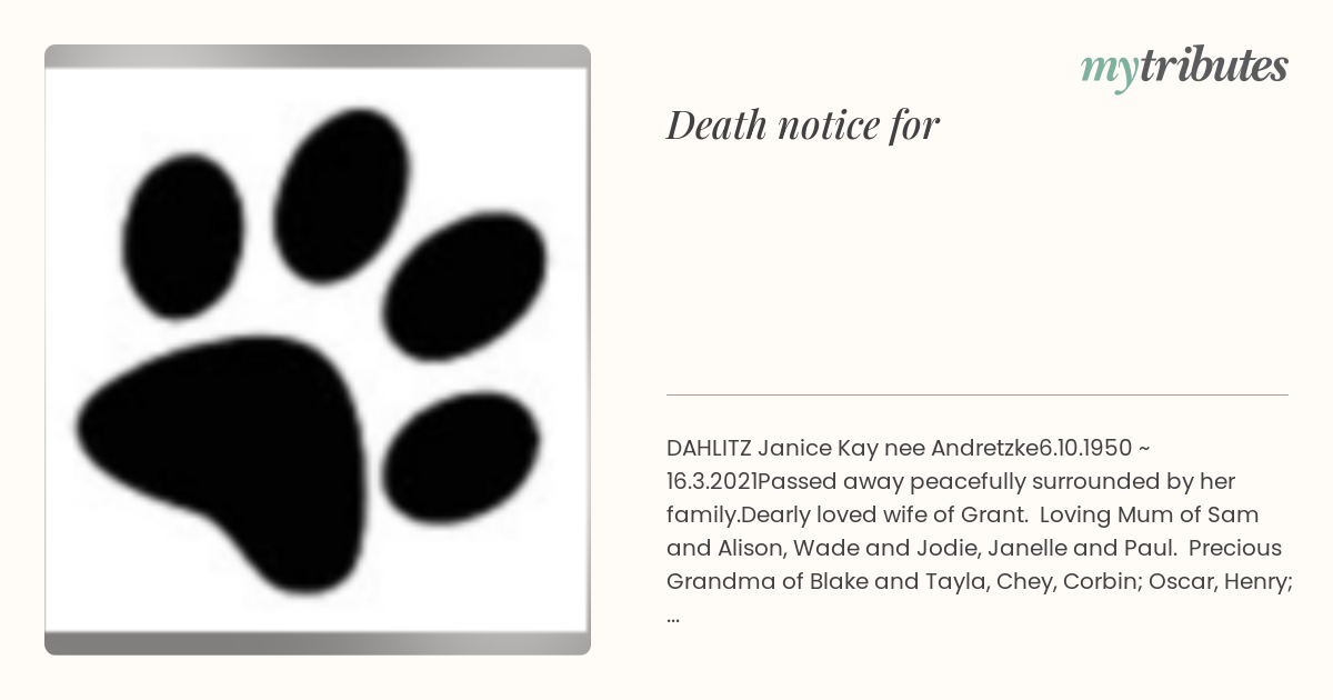 notice opengraph image