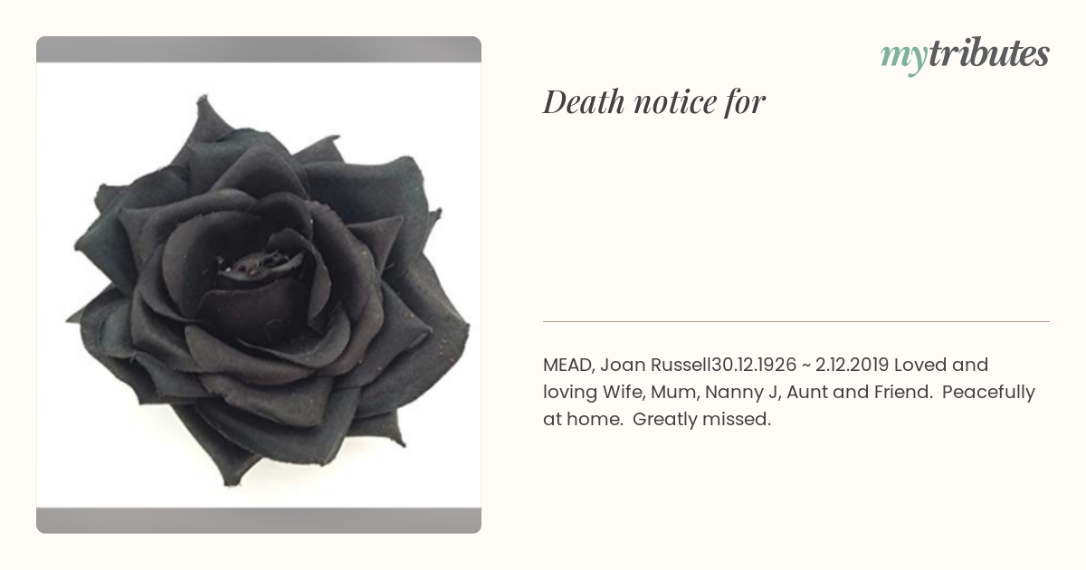 notice opengraph image