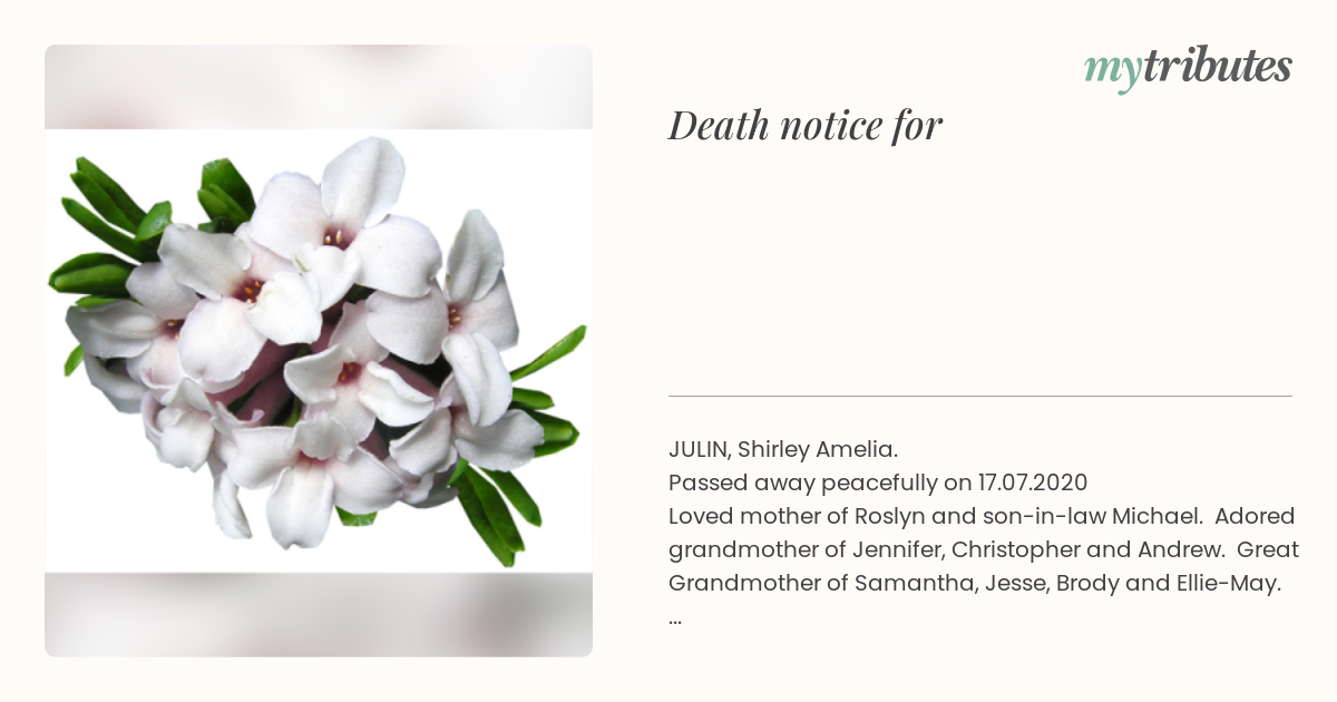 notice opengraph image