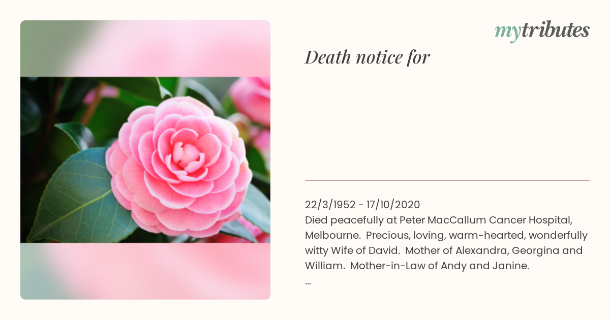 notice opengraph image