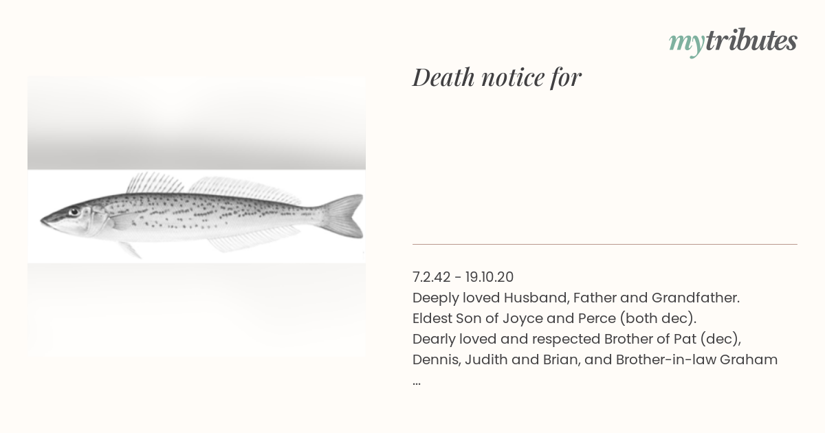 notice opengraph image