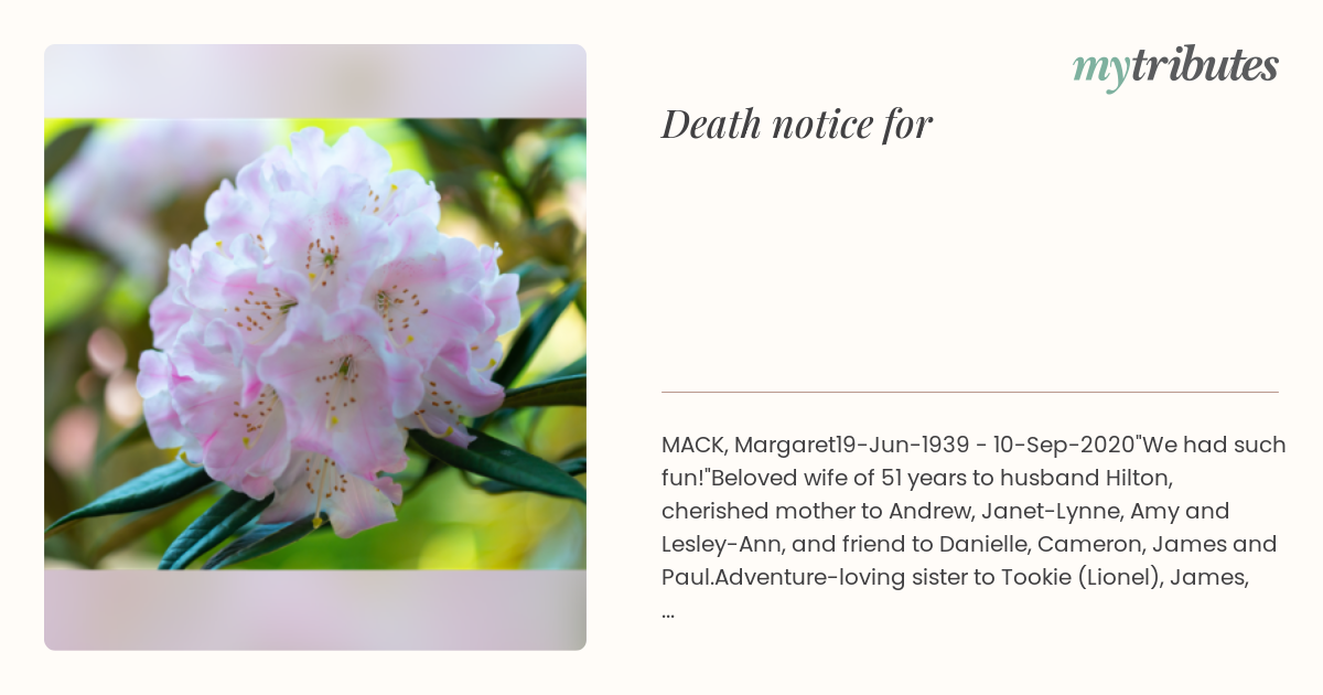 notice opengraph image