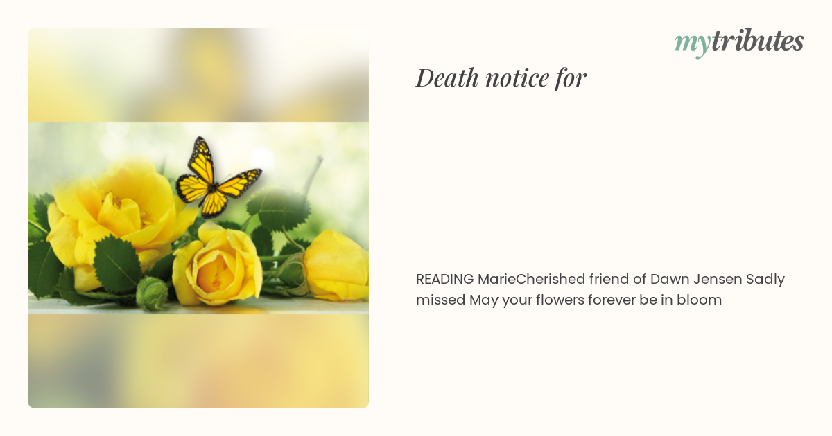 notice opengraph image