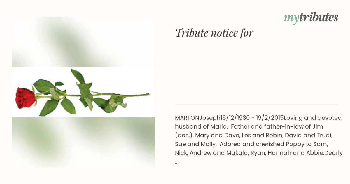 notice opengraph image