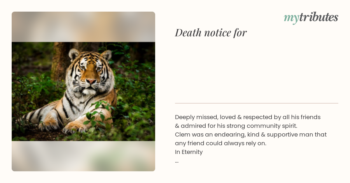 notice opengraph image