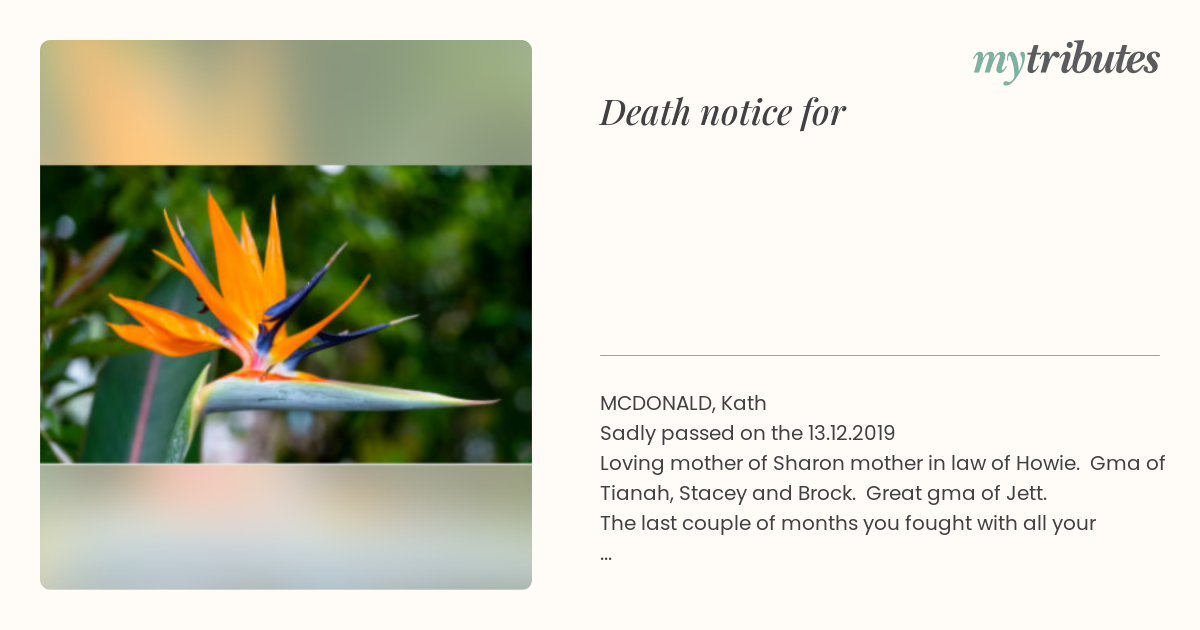 notice opengraph image