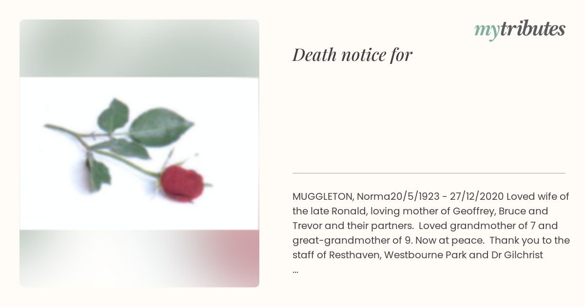 notice opengraph image
