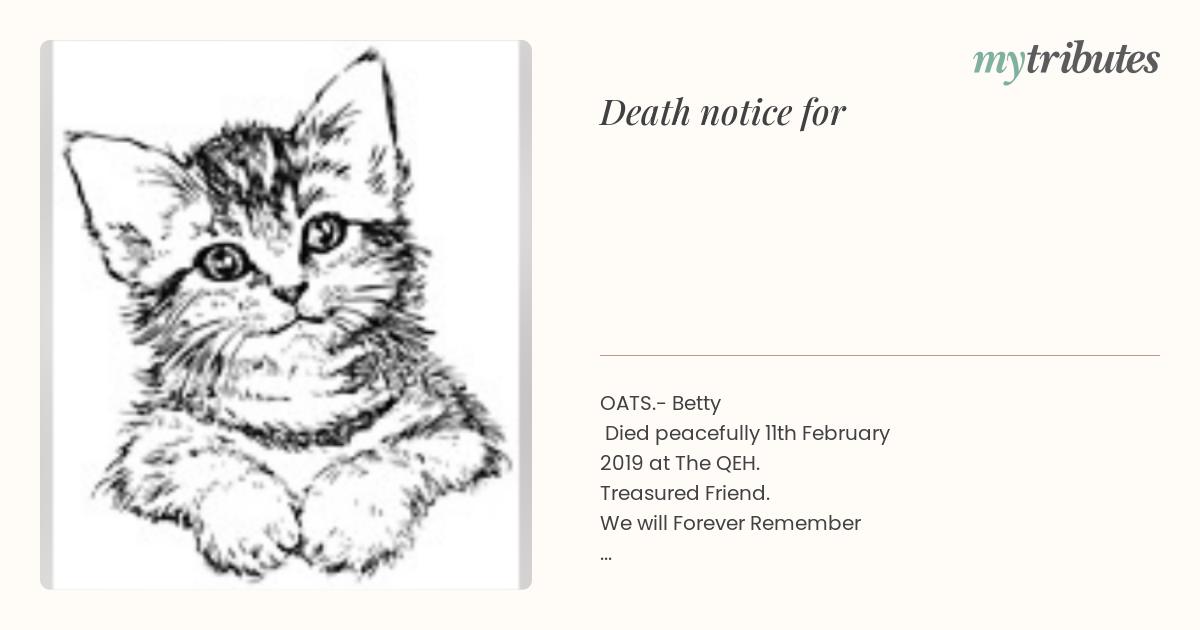 notice opengraph image