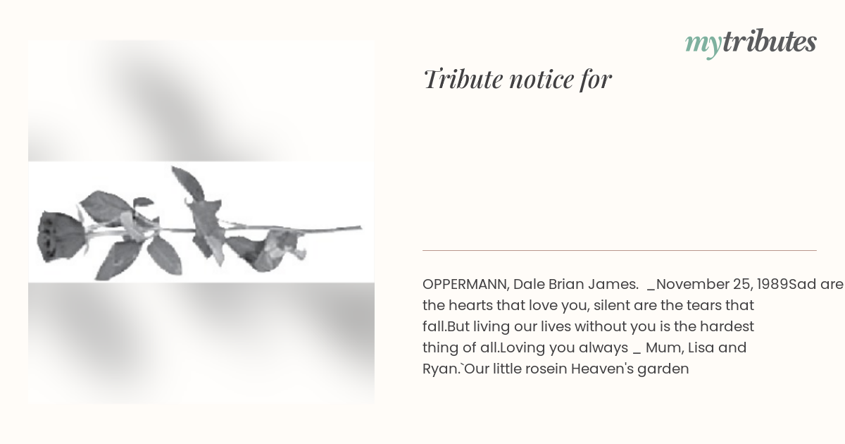 notice opengraph image