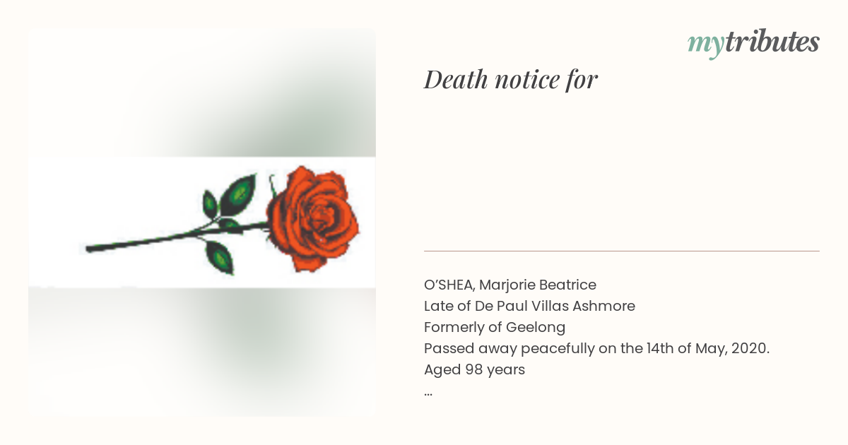 notice opengraph image