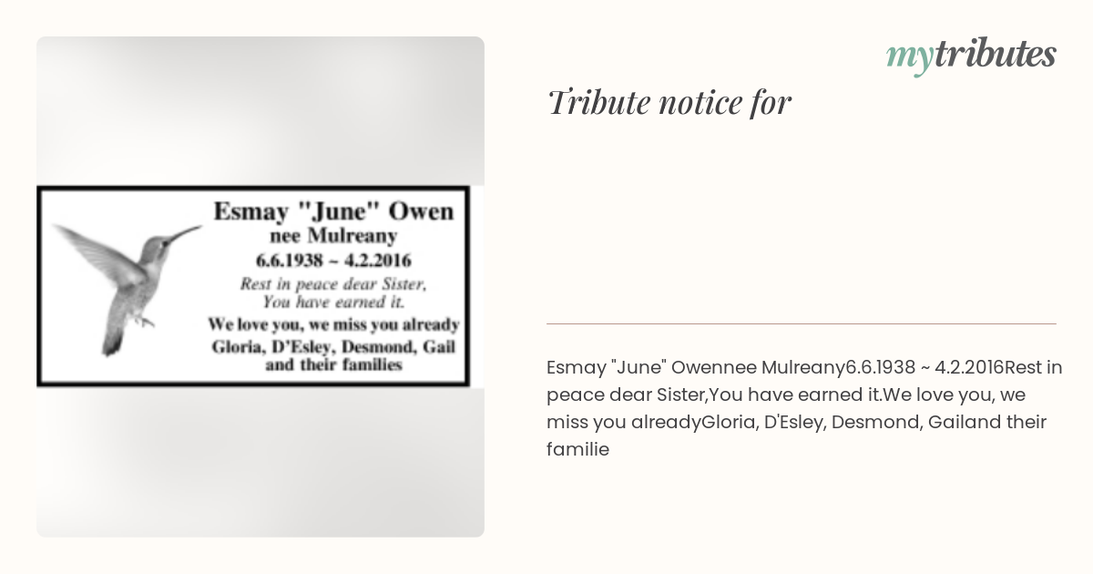 notice opengraph image