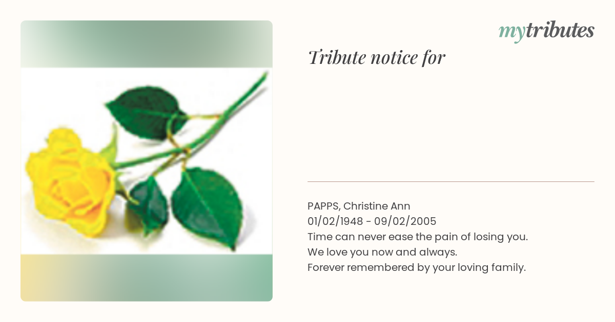 notice opengraph image