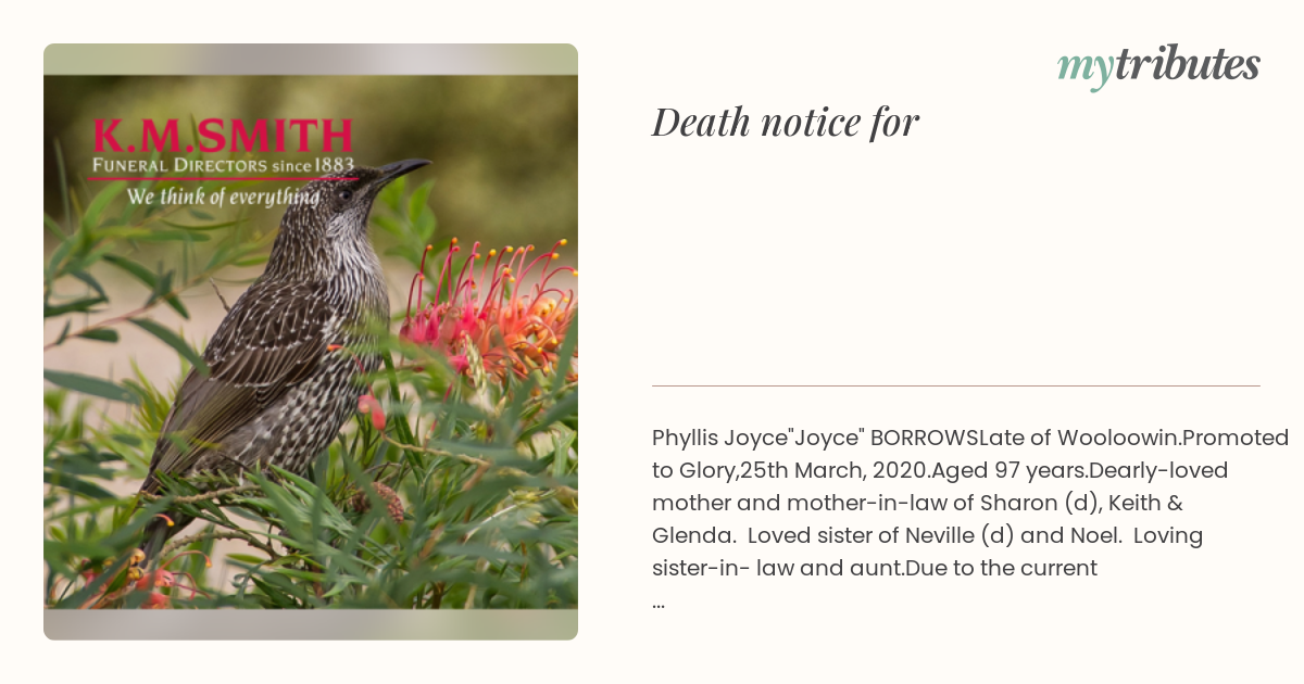 notice opengraph image