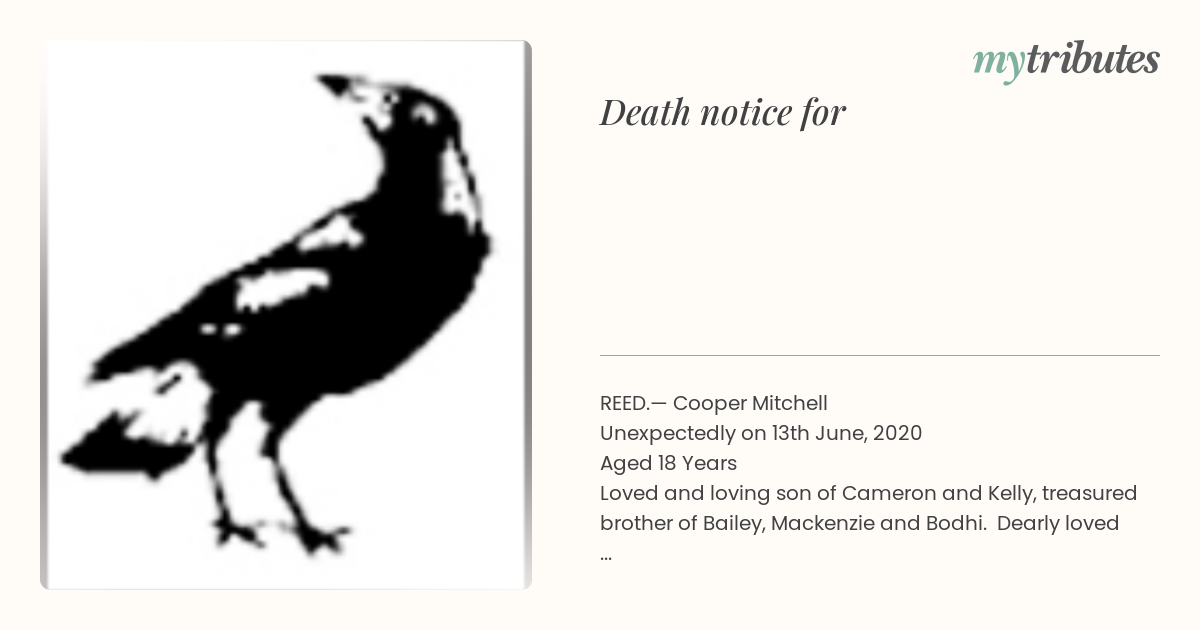 notice opengraph image