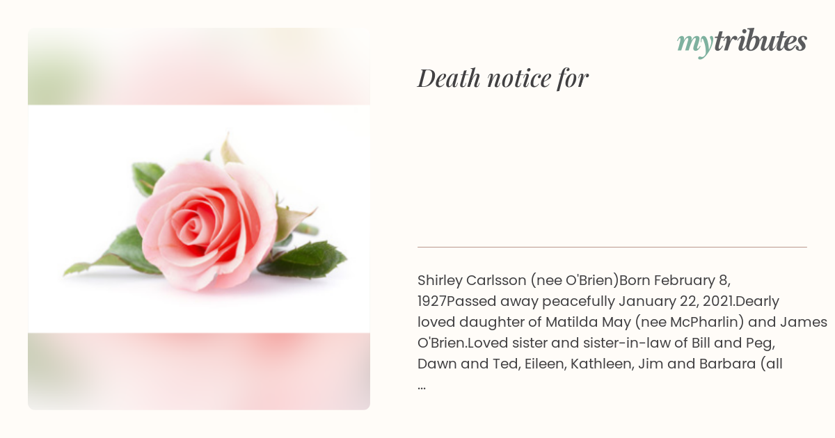 notice opengraph image