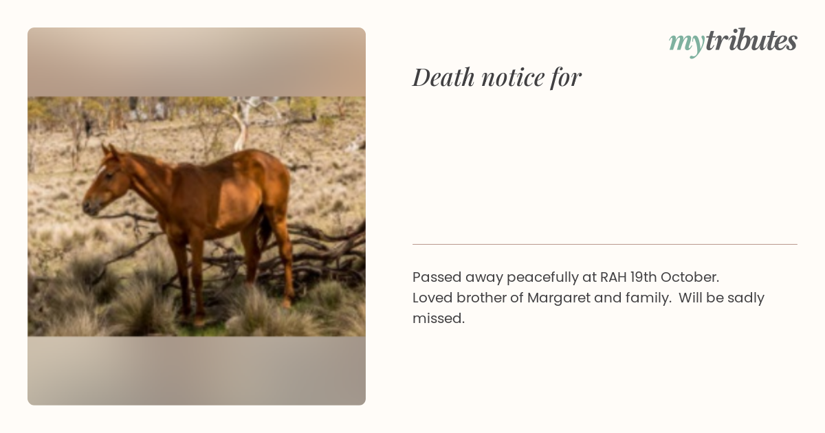 notice opengraph image