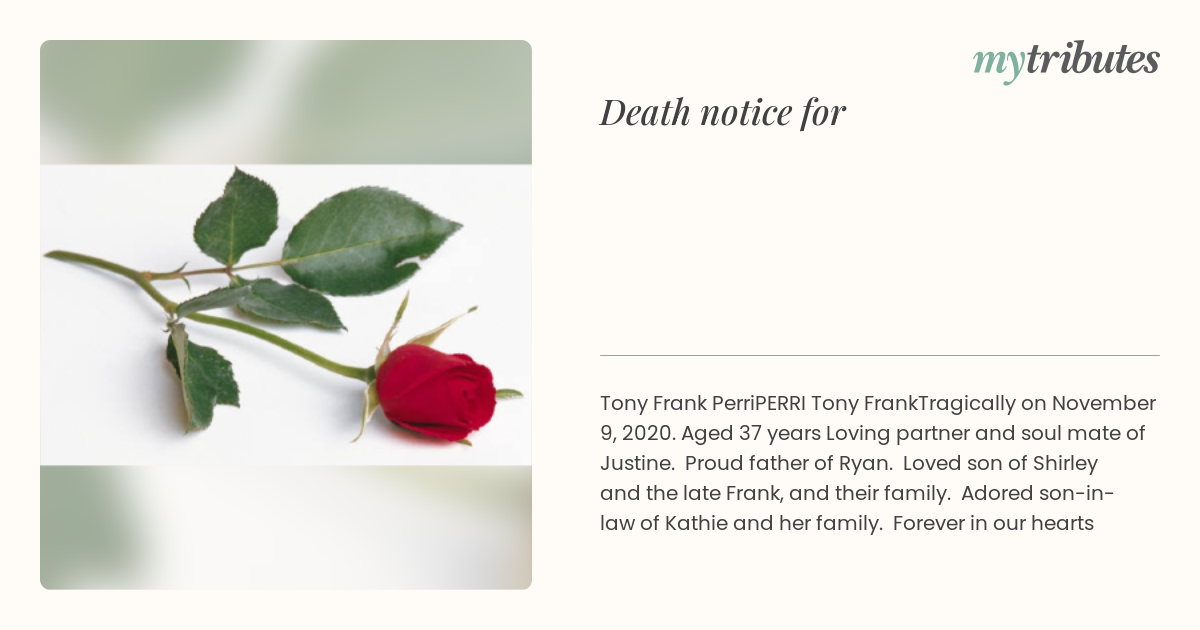 notice opengraph image