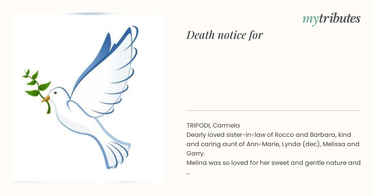 notice opengraph image