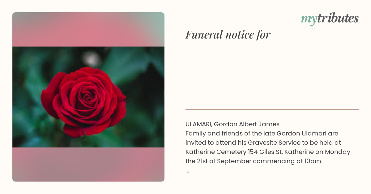 notice opengraph image