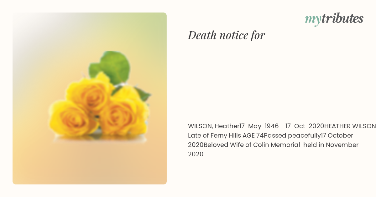 notice opengraph image