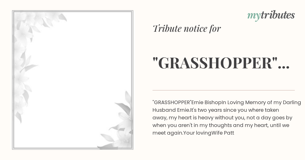 notice opengraph image