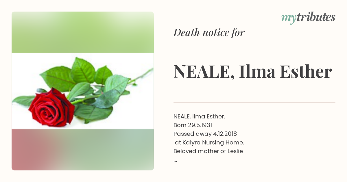 notice opengraph image