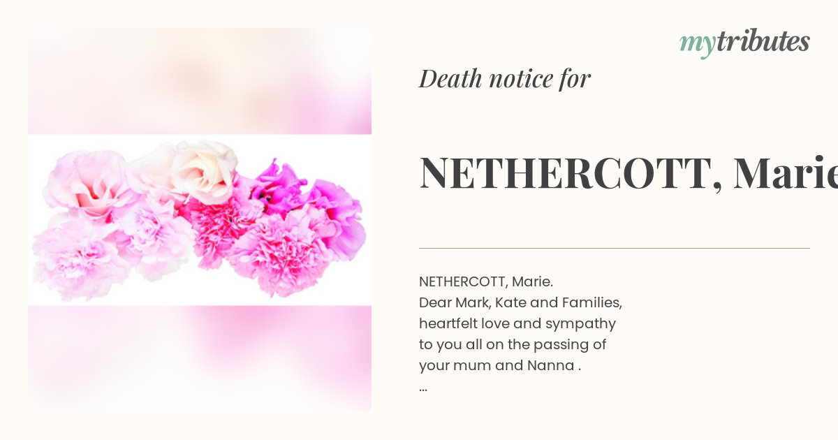 notice opengraph image