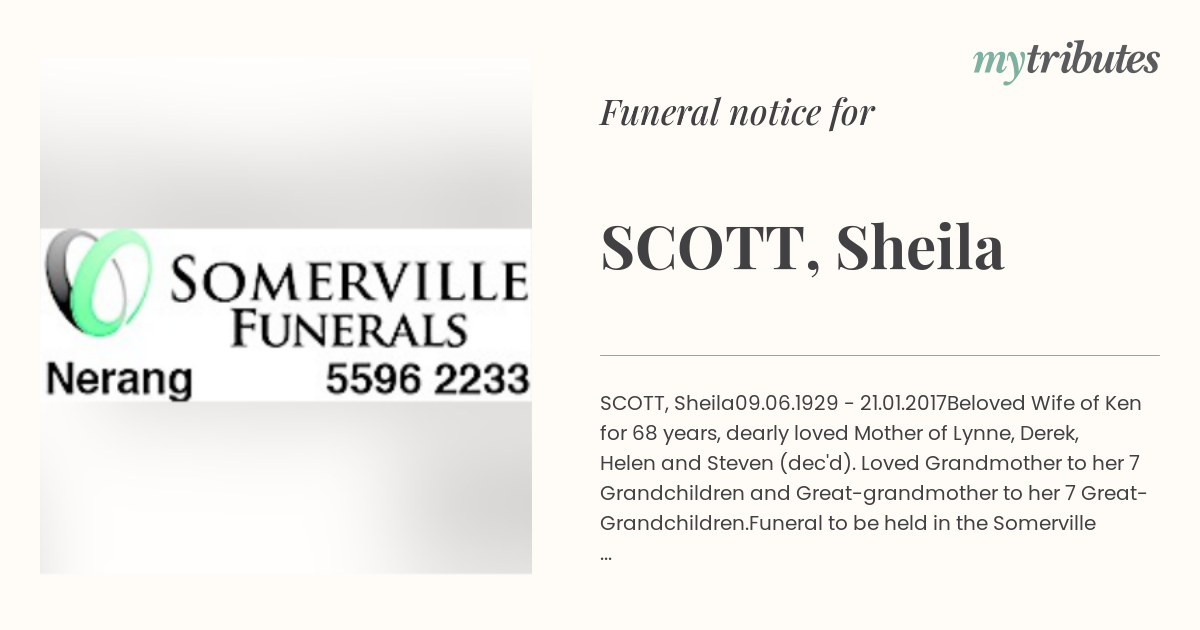 notice opengraph image