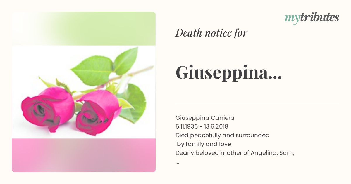 notice opengraph image