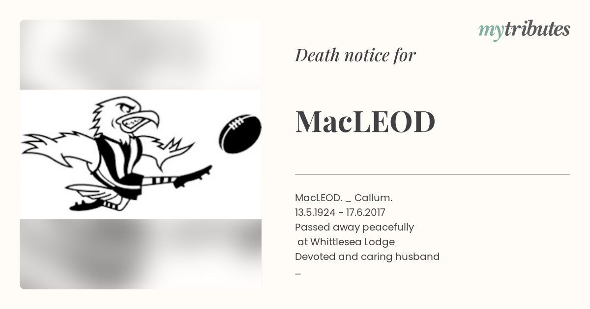 notice opengraph image