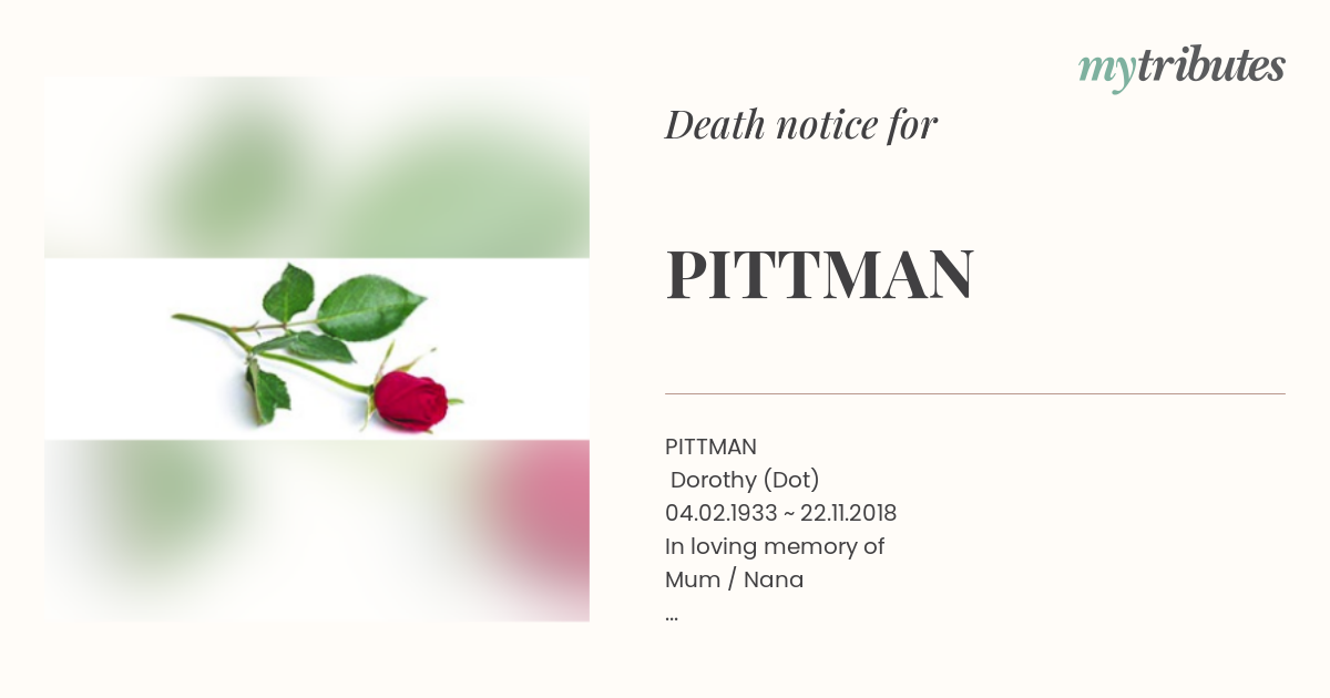 notice opengraph image