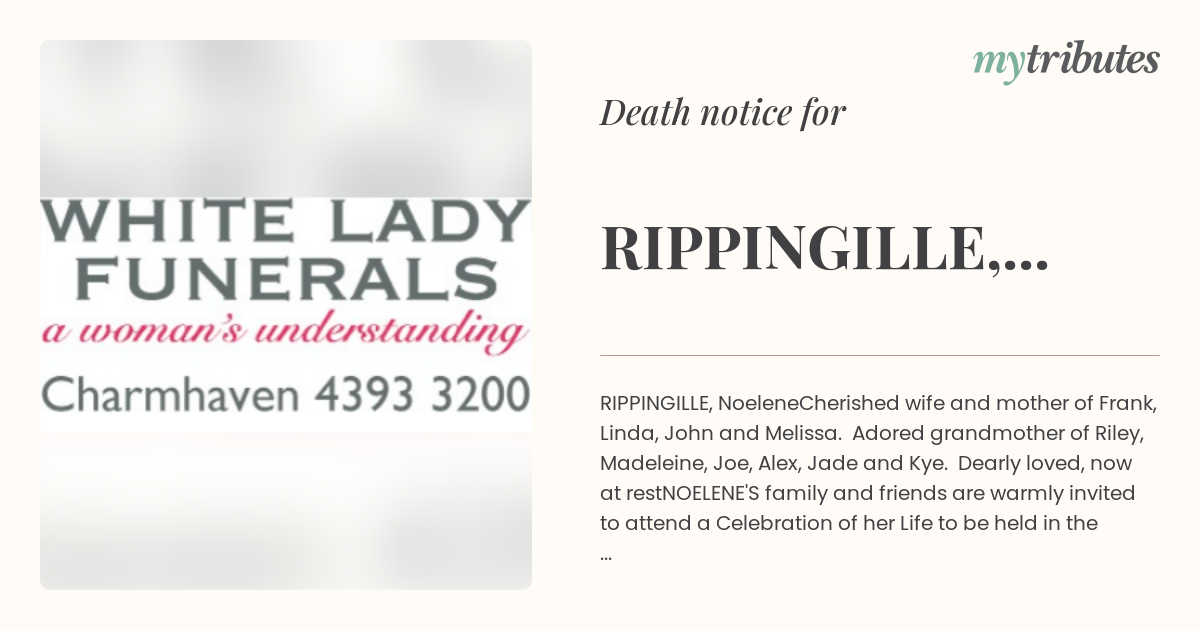 notice opengraph image