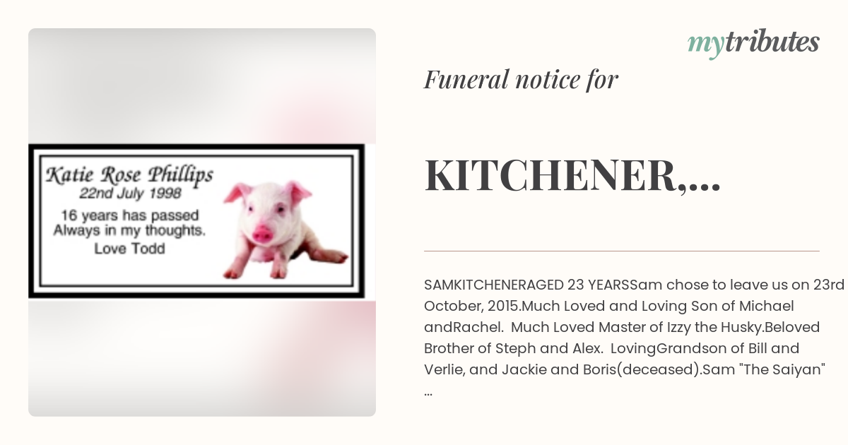 notice opengraph image