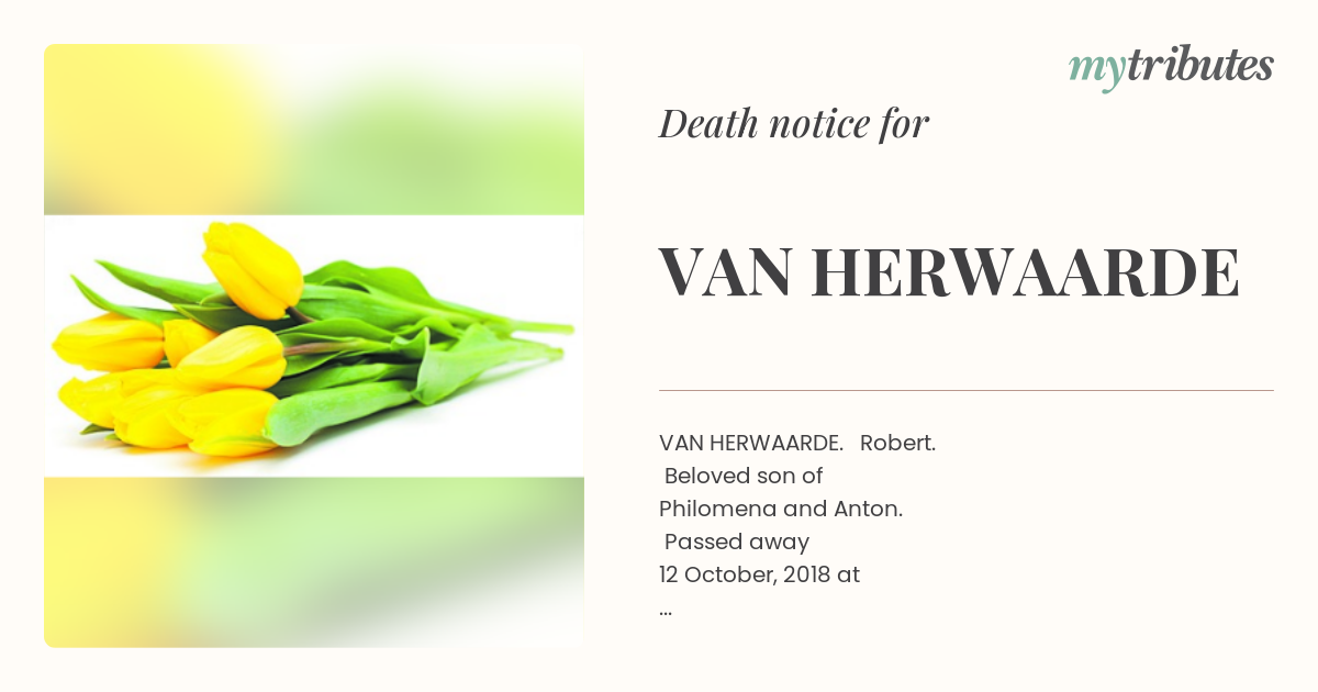 notice opengraph image