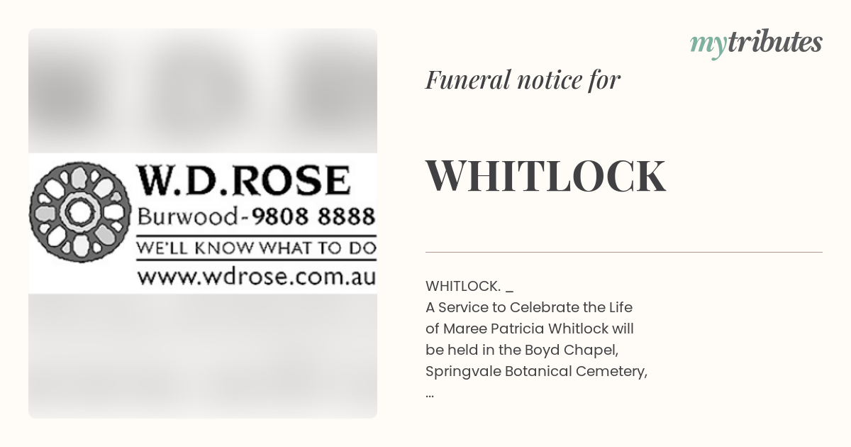 notice opengraph image