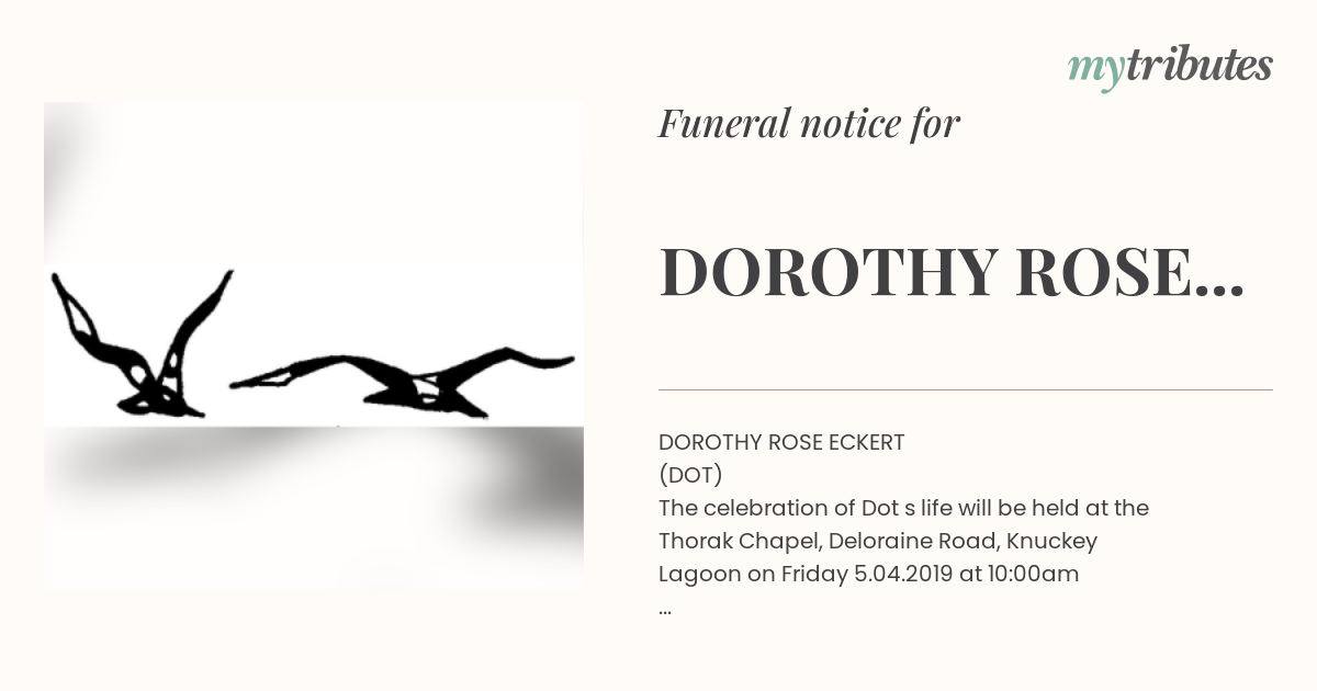 notice opengraph image