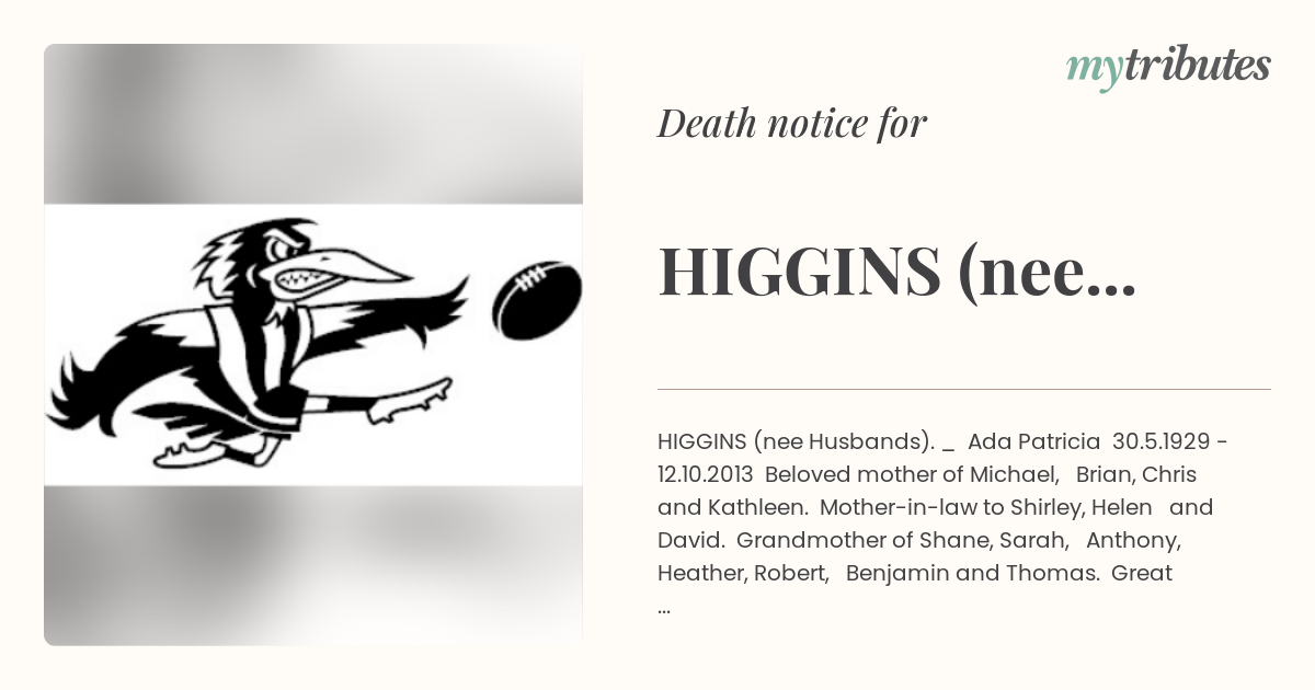 notice opengraph image