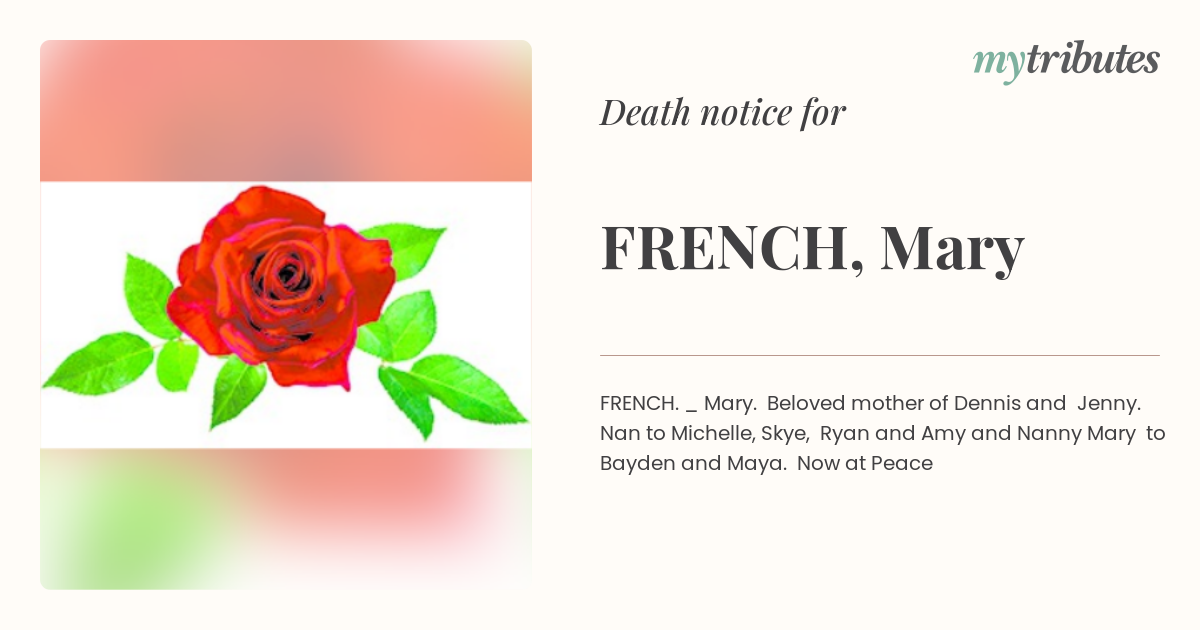 notice opengraph image