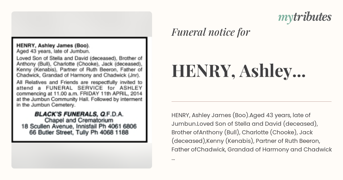 notice opengraph image