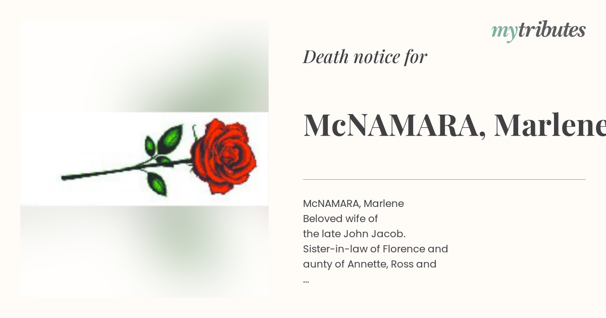 notice opengraph image