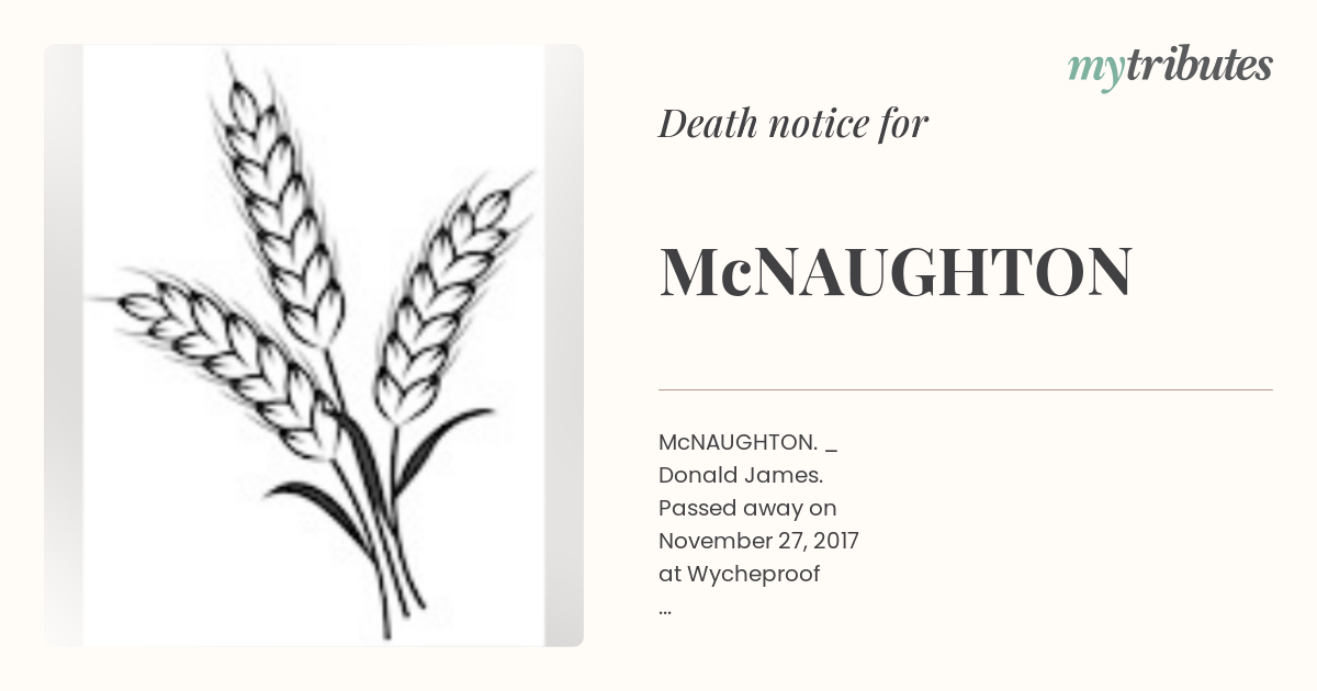 notice opengraph image