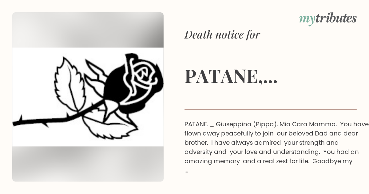 notice opengraph image