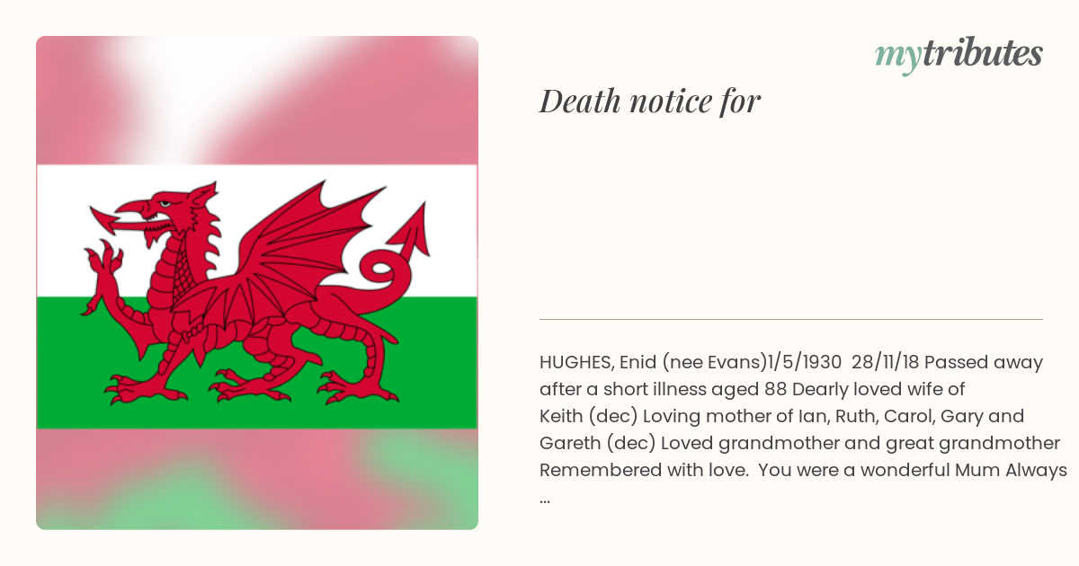 notice opengraph image